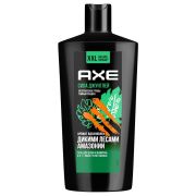 AXE Гель для душа муж. 610мл СИЛА ДЖУНГЛЕЙ/2в1/8